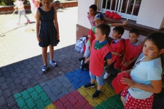 Dia Eco-Escolas 2019