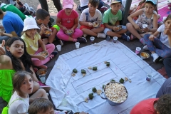 Dia Eco-Escolas 2019