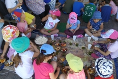 Dia Eco-Escolas 2019