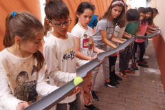 Dia Eco-Escolas 2023