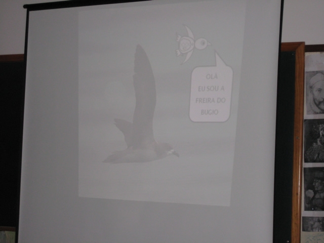 Palestra Biodiversidade Insular (2012)