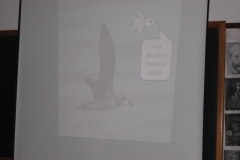 Palestra Biodiversidade Insular (2012)