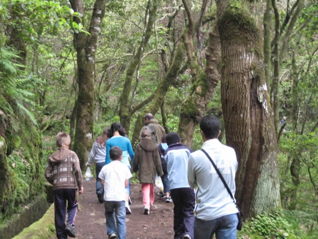 Visita de Estudo Balcões (2011)