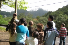 Visita de Estudo Balcões (2011)