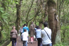 Visita de Estudo Balcões (2011)