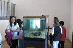Visita de Estudo Garajau (2011)