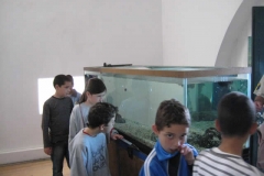 Visita de Estudo Garajau (2011)